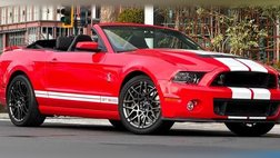 2014 Ford Shelby GT500 Base