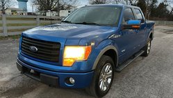 2013 Ford F-150 Platinum