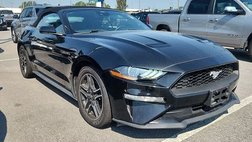 2023 Ford Mustang EcoBoost