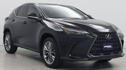 2022 Lexus NX 350 Luxury