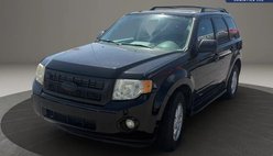 2009 Ford Escape XLT