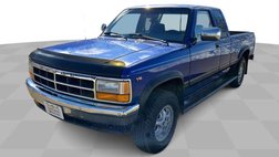 1995 Dodge Dakota Base