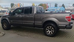 2014 Ford F-150 Platinum
