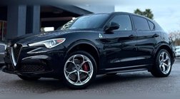 2019 Alfa Romeo Stelvio Quadrifoglio