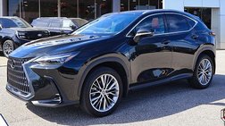 2024 Lexus NX 350 Luxury