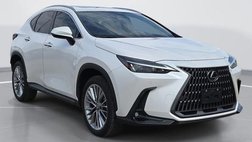 2025 Lexus NX 350 Premium
