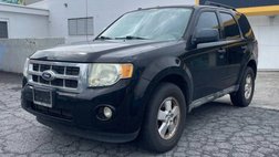 2010 Ford Escape XLT