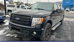 2014 Ford F-150 FX4