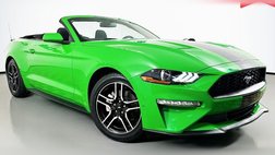 2019 Ford Mustang EcoBoost