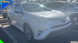 2017 Toyota RAV4 Platinum