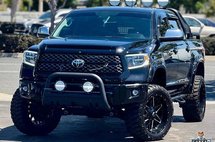 2020 Toyota Tundra Platinum
