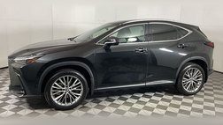 2024 Lexus NX 350h Luxury