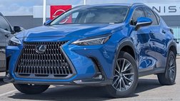 2025 Lexus NX 250 Premium