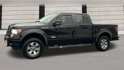 2012 Ford F-150 FX4