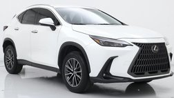 2024 Lexus NX 250 Base