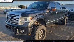 2014 Ford F-150 Platinum