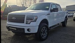 2014 Ford F-150 FX4