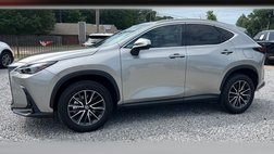 2025 Lexus NX 250 Premium