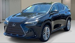 2024 Lexus NX 350h Luxury