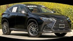 2024 Lexus NX 350 Premium