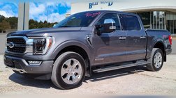 2021 Ford F-150 Platinum