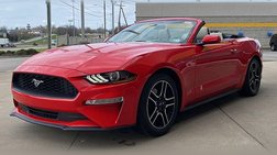 2019 Ford Mustang EcoBoost