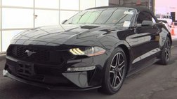 2019 Ford Mustang Premium