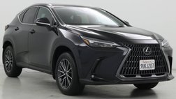 2025 Lexus NX 250 Base