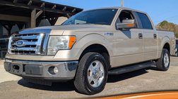 2010 Ford F-150 XL