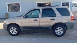 2007 Ford Escape XLT