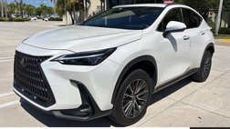 2023 Lexus NX 250 Base