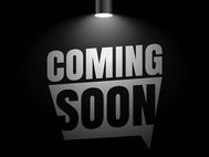 2013 Mercedes-Benz SLK-Class SLK 250