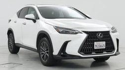 2024 Lexus NX 350 Premium