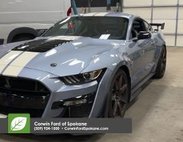 2022 Ford Mustang Shelby GT500