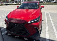 2024 Lexus NX 250 Premium