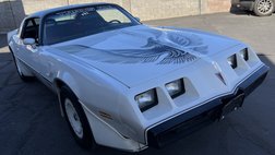1981 Pontiac Firebird Trans Am SE Turbo