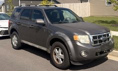 2009 Ford Escape XLT