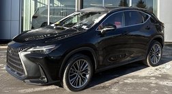 2022 Lexus NX 350h Luxury