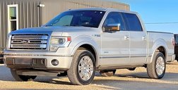 2013 Ford F-150 Platinum