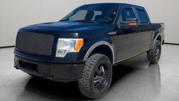 2010 Ford F-150 FX4