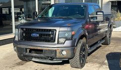 2013 Ford F-150 FX4