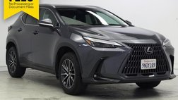 2025 Lexus NX 250 Premium