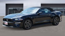2023 Ford Mustang EcoBoost