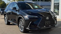 2023 Lexus NX 350h Luxury