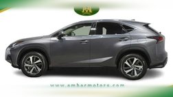 2019 Lexus NX 300 F SPORT