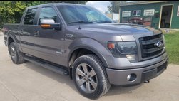 2014 Ford F-150 FX4