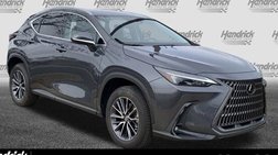 2025 Lexus NX 250 Premium