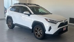 2023 Toyota RAV4 Hybrid Woodland Edition