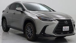 2025 Lexus NX 250 Base