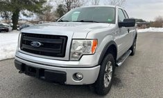2014 Ford F-150 FX4